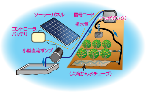 全体概略図