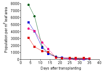 Density per leaf area
