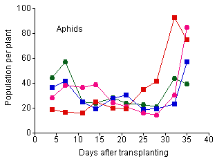 Density per plant