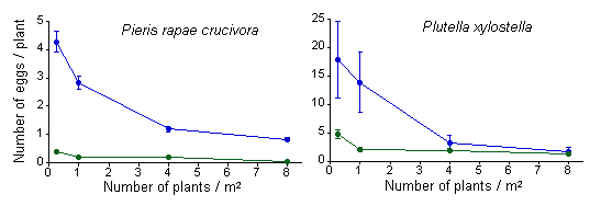 Density/plant